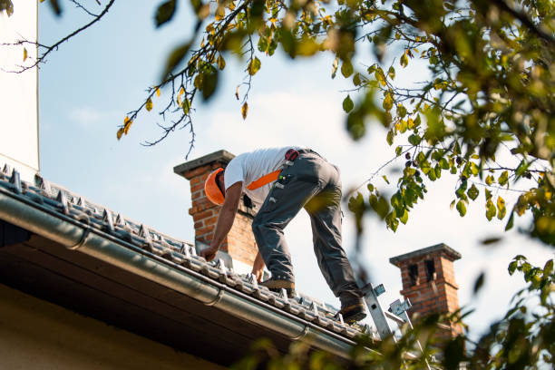 Best New Roof Installation  in Three Oaks, MI