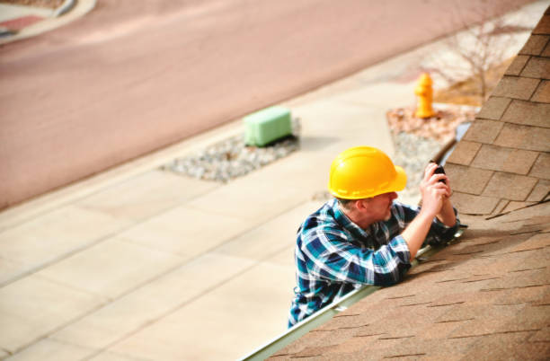 Best Roof Repair Services  in Three Oaks, MI