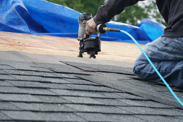 Best Roof Gutter Cleaning  in Three Oaks, MI
