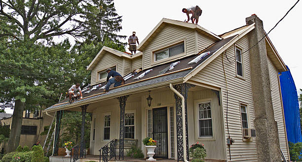 Best New Roof Installation  in Three Oaks, MI