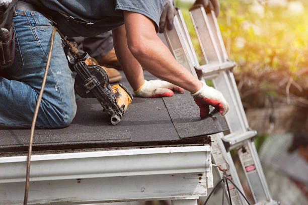 Best Metal Roofing Contractor  in Three Oaks, MI