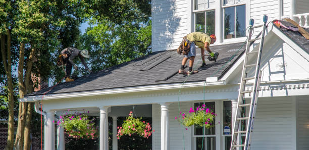 Best Storm Damage Roof Repair  in Three Oaks, MI