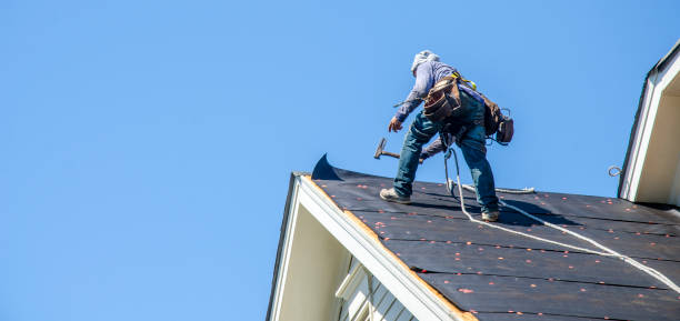 Best Roof Restoration Services  in Three Oaks, MI